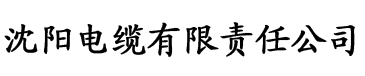 先锋影音每日资源电缆厂logo